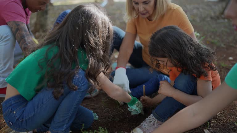  Socorro, TX Tree Services Pros